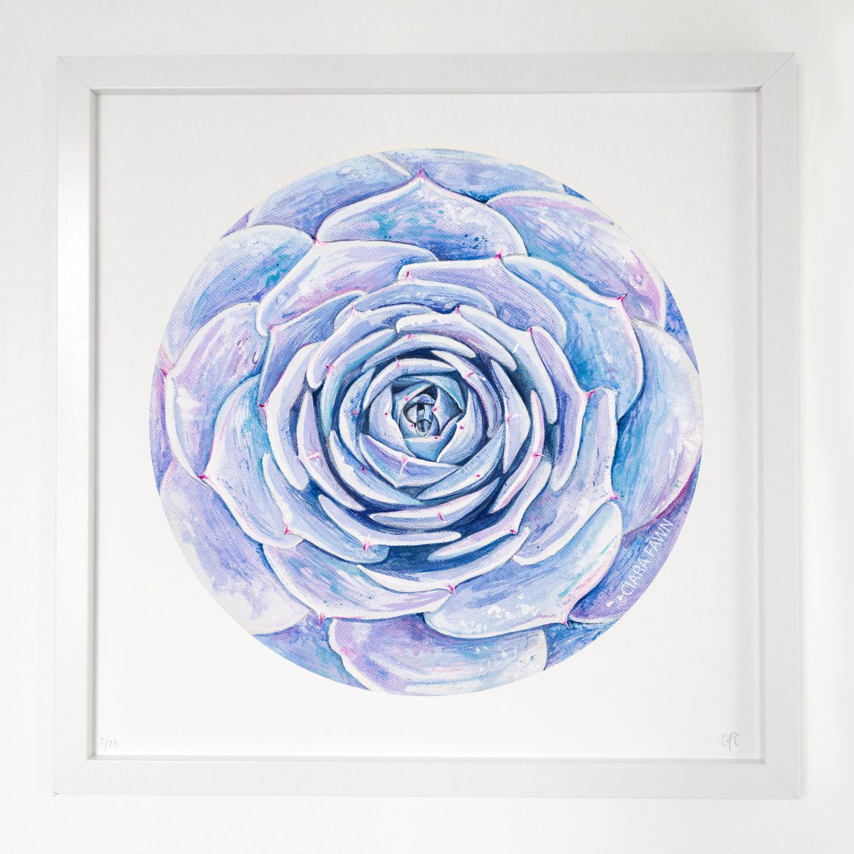 Purple Succulent Limited Edition Print