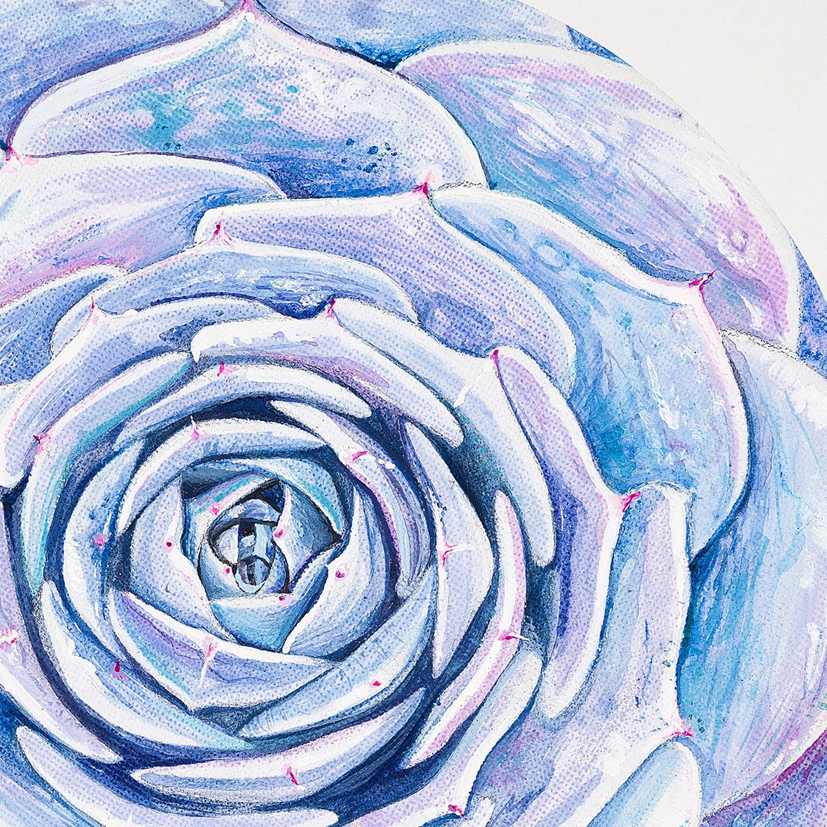 Purple Succulent Limited Edition Print