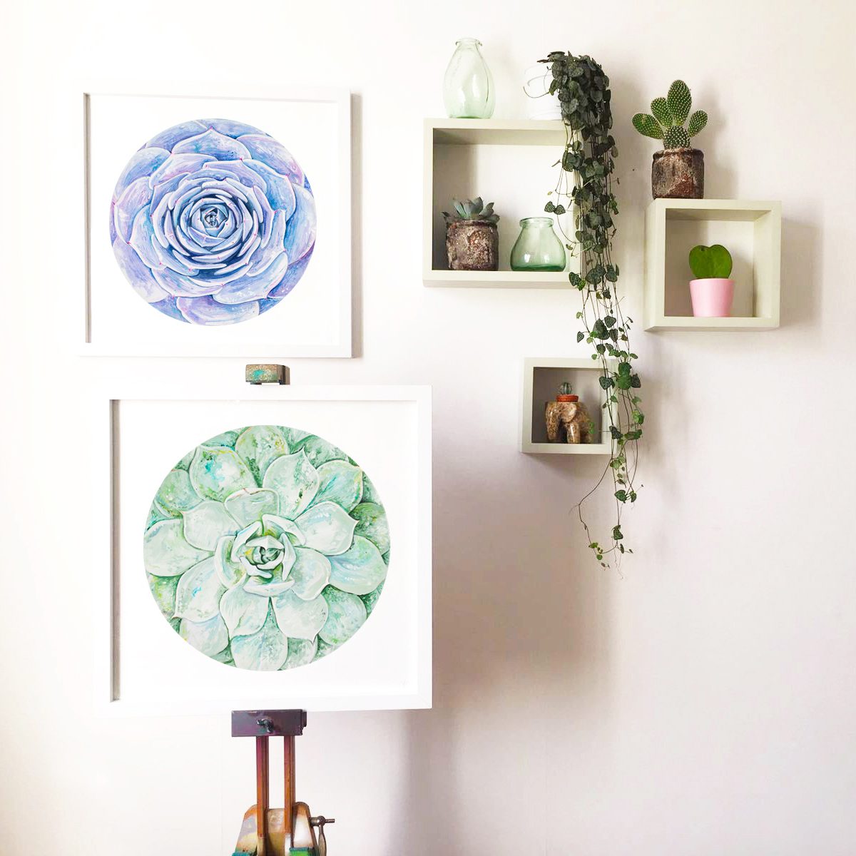 Green Succulent Limited Edition Print