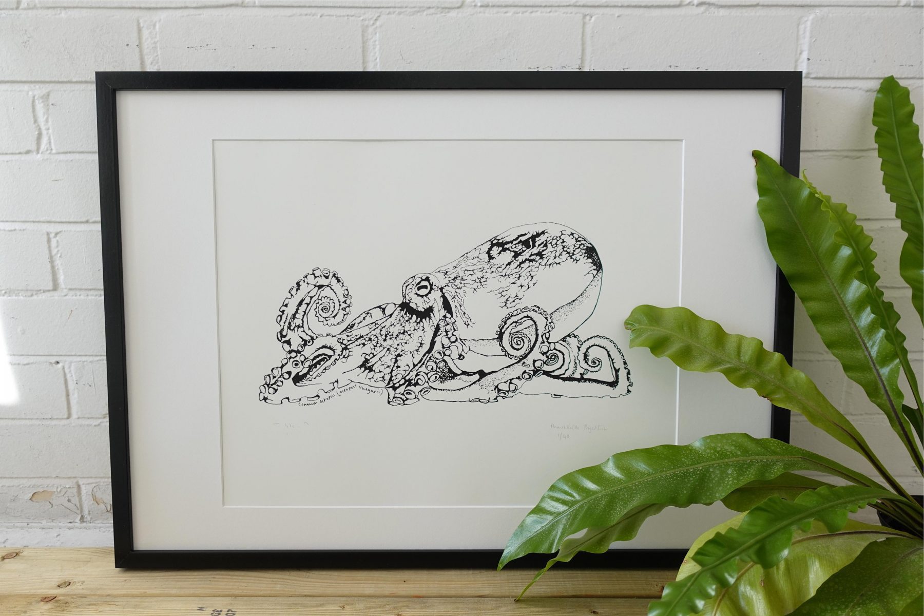 Large Octopus print