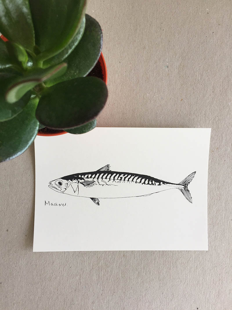 Little Mackerel print