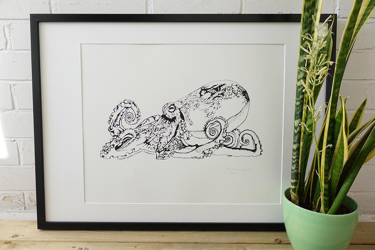 Large Octopus print