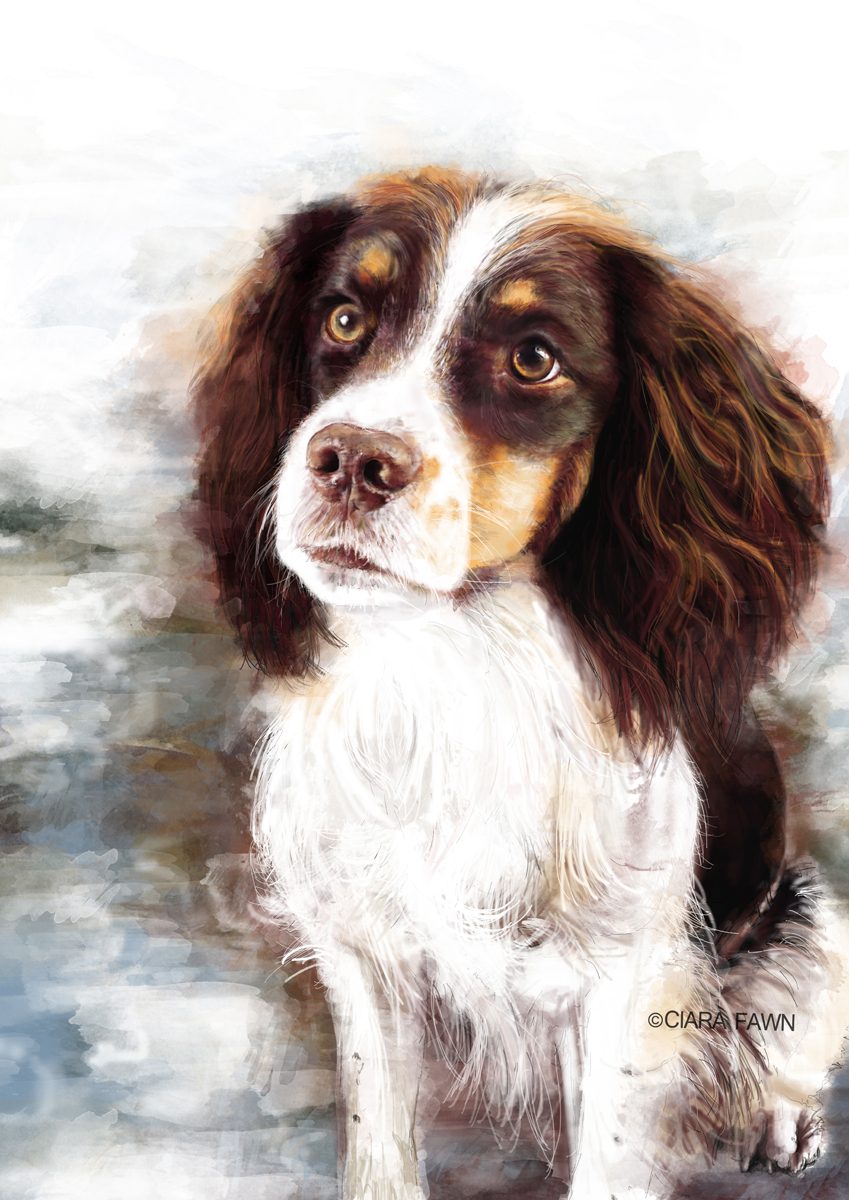 Bespoke Illustrated Pet Portrait