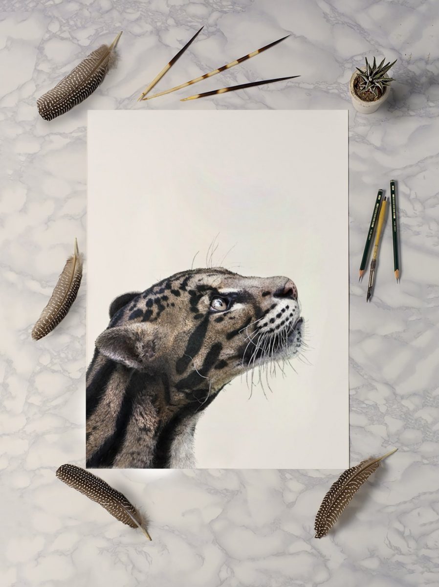 Clouded leopard Print