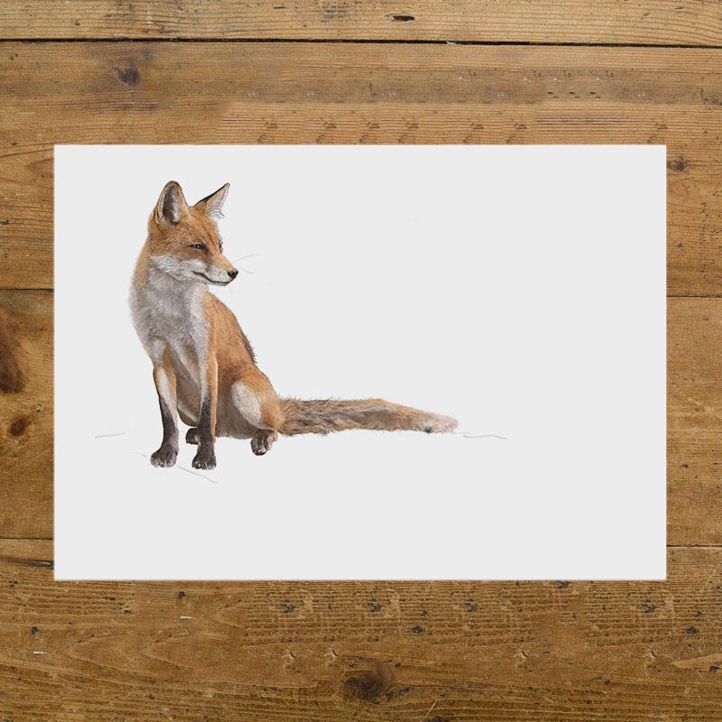 Red Fox - Illustrated Art Print