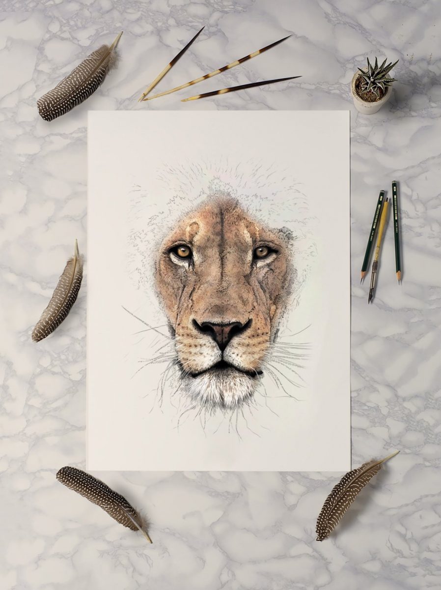 Lion - Illustrated Art Print