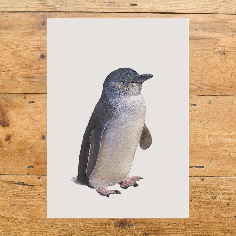 Little Penguin Illustrated Art Print
