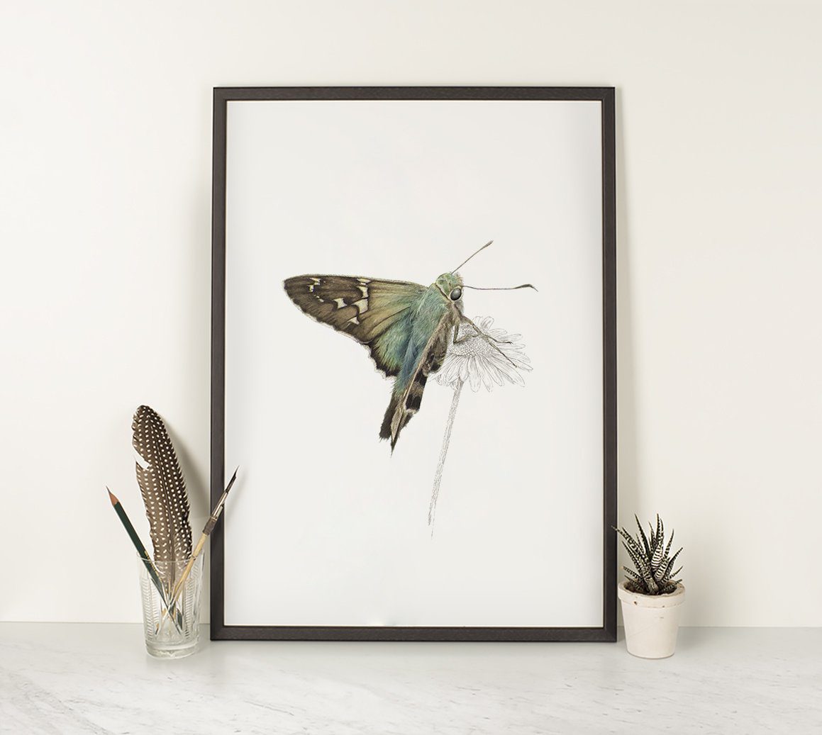 Long Tailed Skipper Butterfly