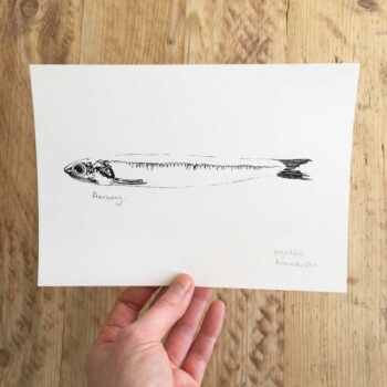 Little Anchovy screenprint