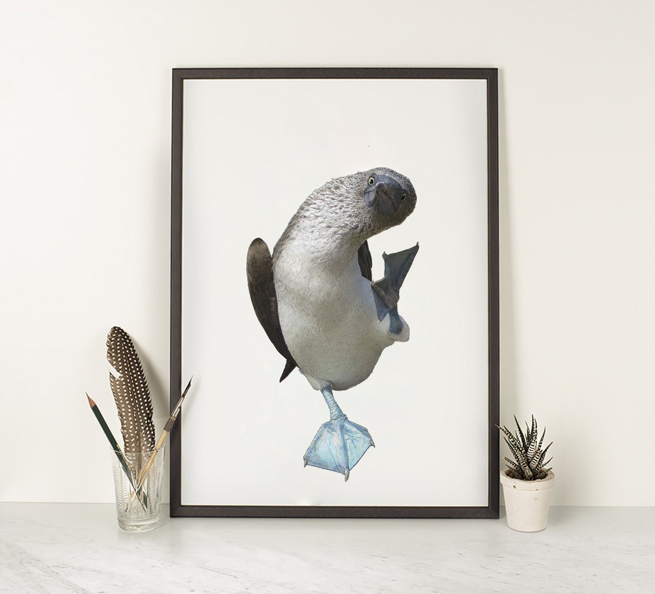 Blue Footed Booby Illustration