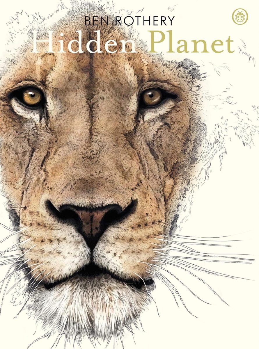 Hidden Planet - Illustrated Wildlife Book