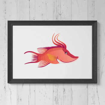 Hogfish Print