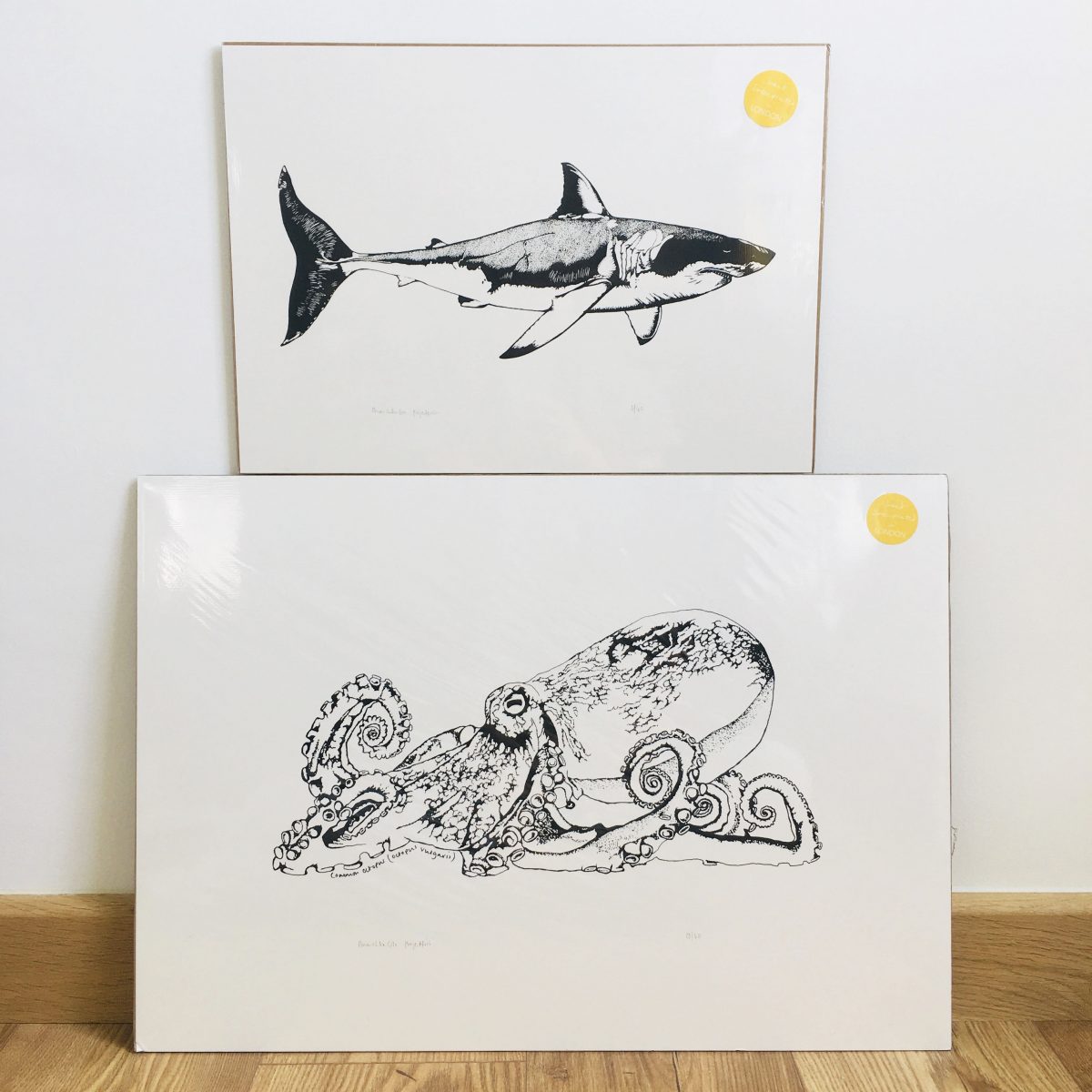 Large Octopus print