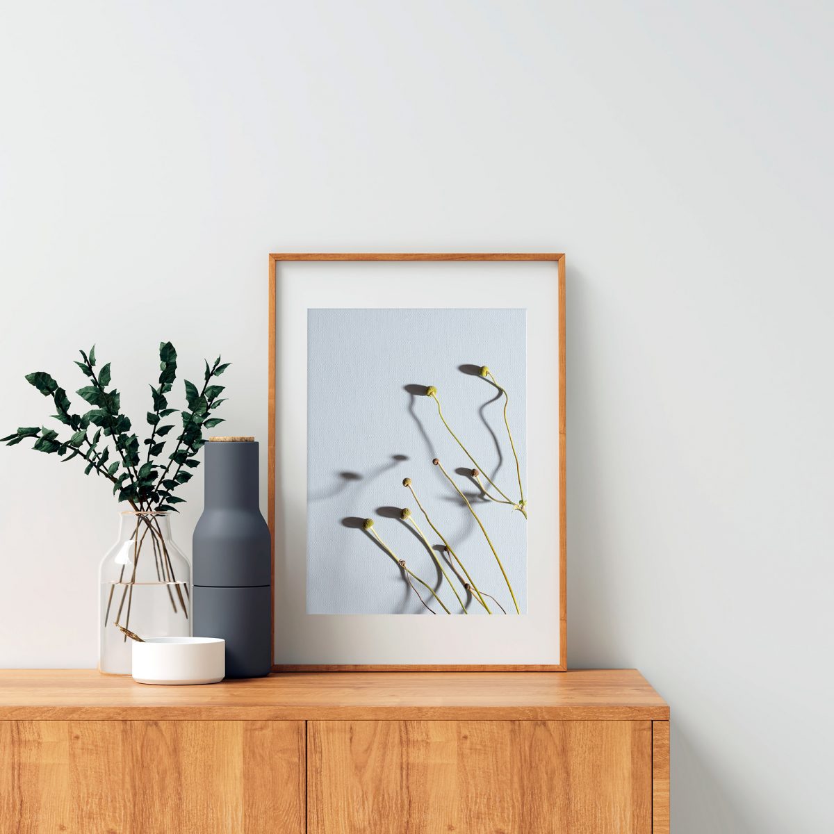 Japanese Anenome on Blue - Fine Art Print