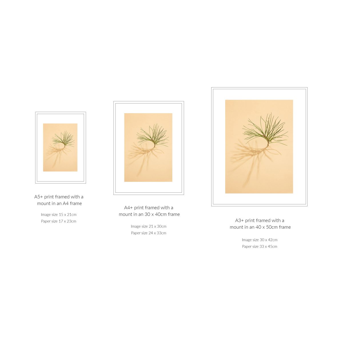 Jasmine Leaves on Pink, Fine Art Print