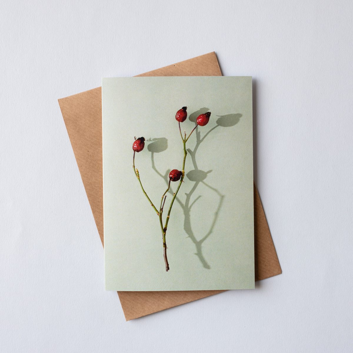 Colourful Botanical Greetings Cards - Set of 5