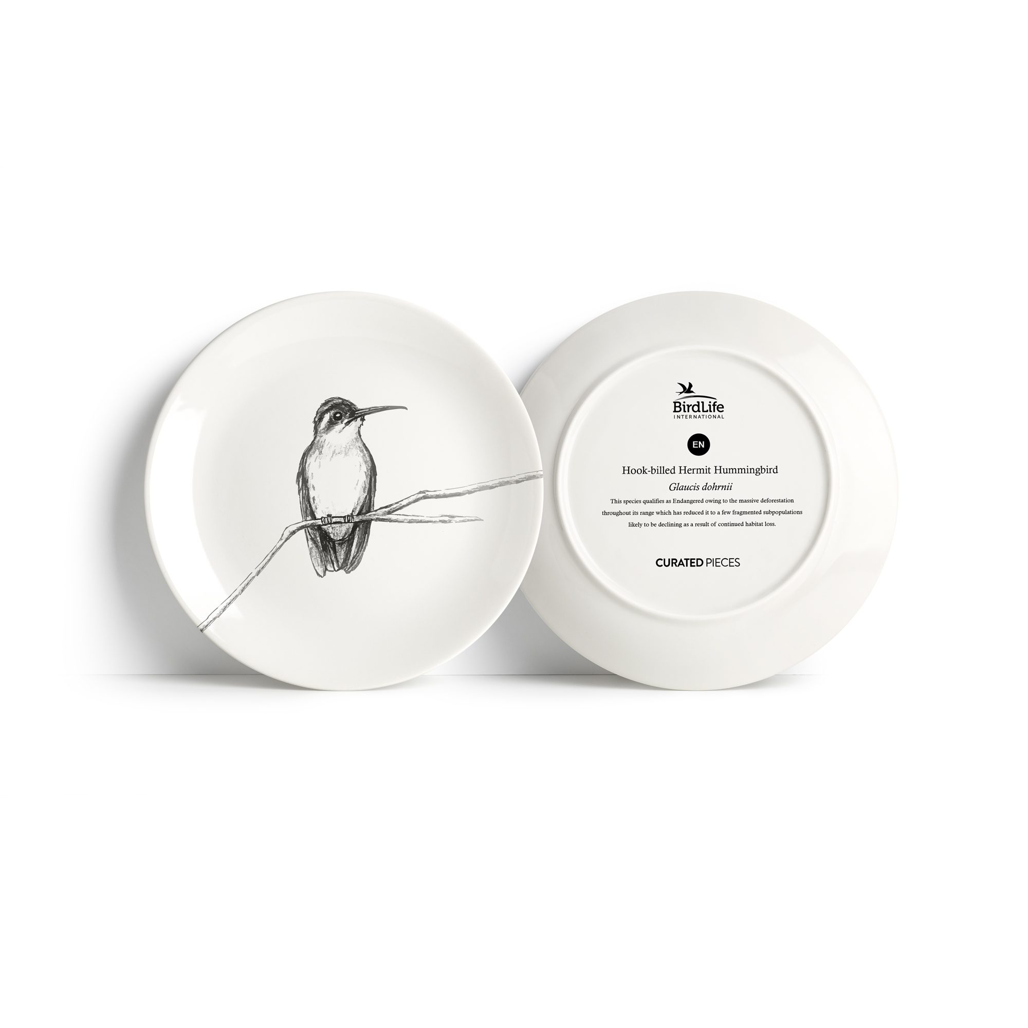 Hummingbird on a branch Plate - The BirdLife Collection