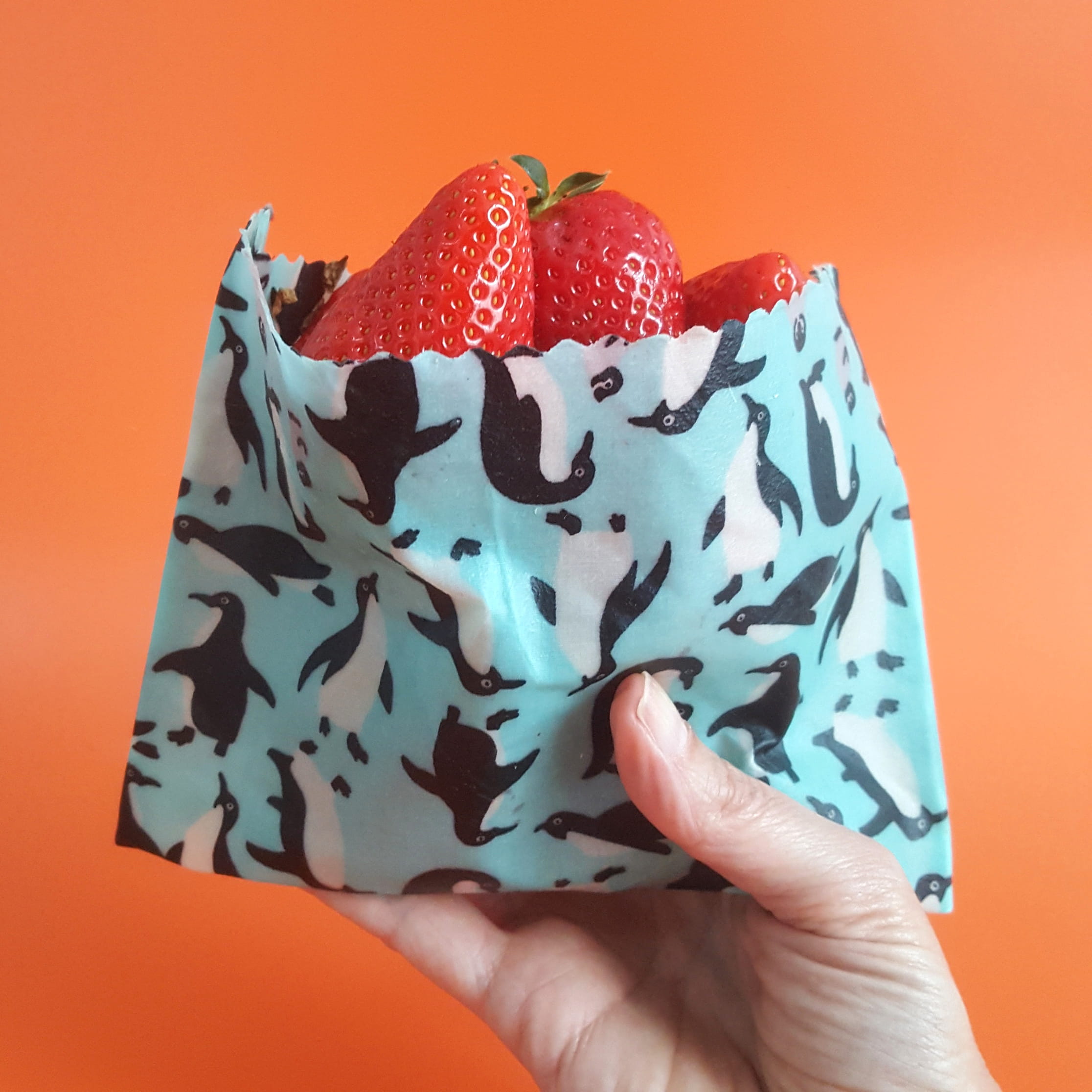 Beeswax Food Wraps | Set of 3 | Wings