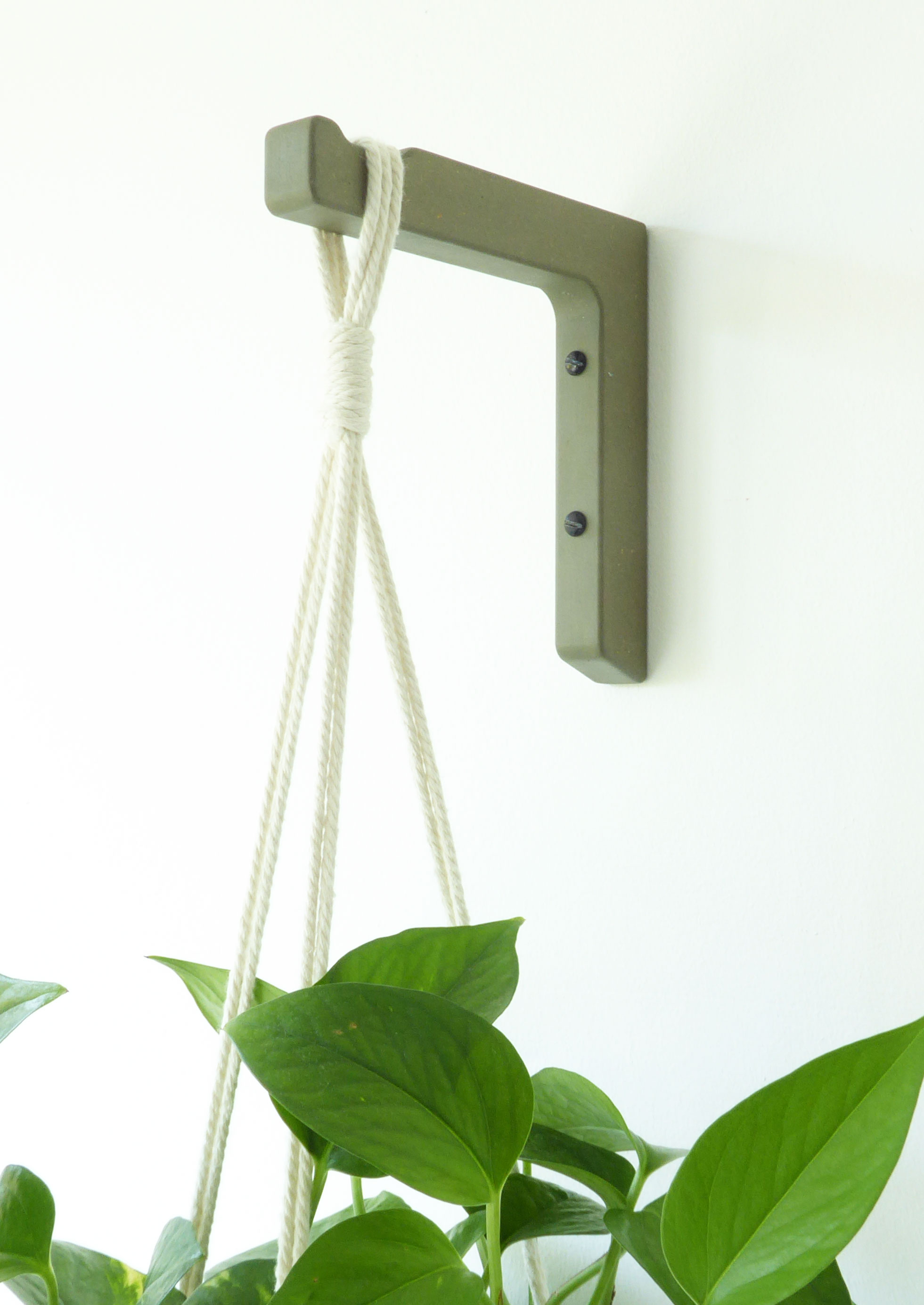 Wooden wall hook for hanging houseplant - black or sage