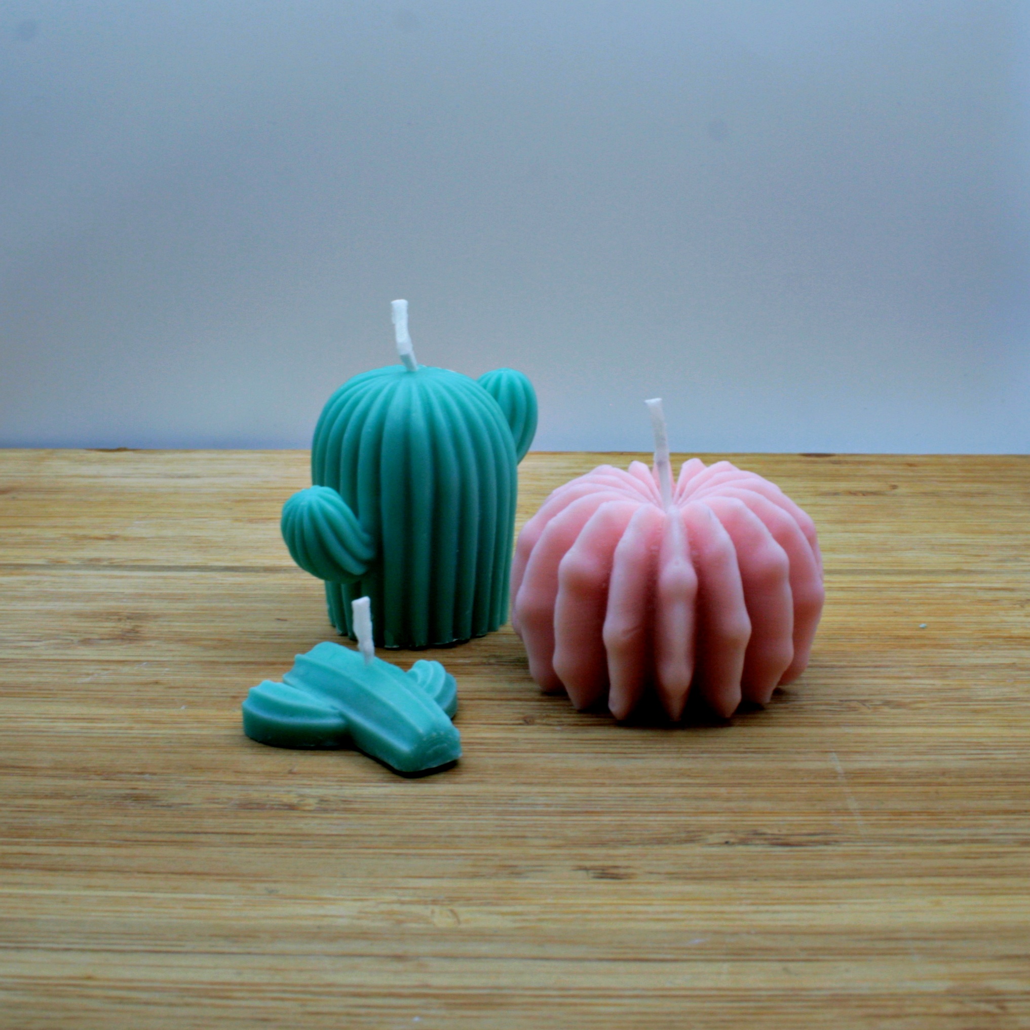 Cactus - Handmade Natural Rapeseed & Coconut Wax Scented Candles