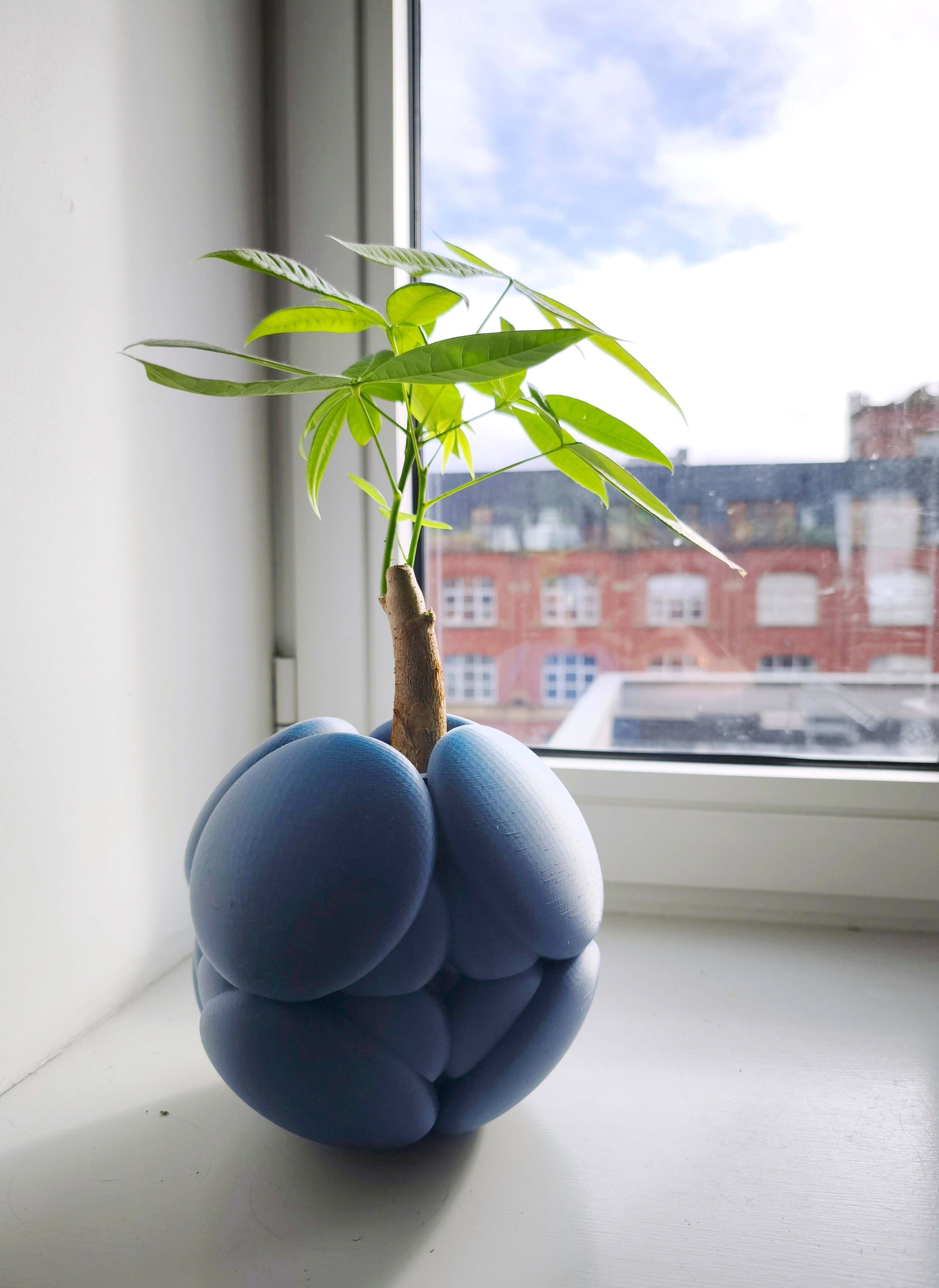 Spherical Vase - Vase Sculpture